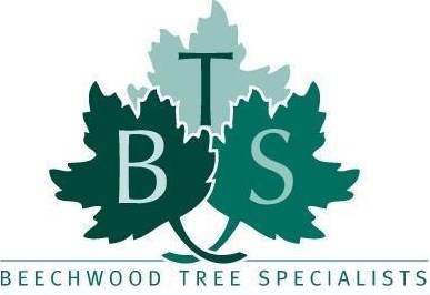 Beechwood Tree Specialists